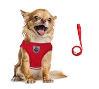 FEimaX Dog Harness and Leash Set, No Pull Soft Mesh Pet Harness for Walking Escape Proof Small Cat Step-in Adjustable Vest with Reflective Strip Fit Puppy Kitten Rabbit