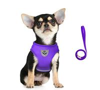 FEimaX No Pull Dog Harness Adjustable Reflective Pet Vest Harness and Leash Set for Puppy Kitten, Breathable Soft Mesh Padded Escape Proof Cat Jacket for Outdoor Easy Control Walking Training
