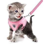 FEimaX Small Cat Dog Harness and Leash Set, No Pull Adjustable Pet Harness with Reflective Strips, Escape Proof Puppy Kitten Vest for Extra Small Dogs Cats