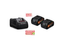 Fein 18v AMPShare Battery Starter Set Inc 2x 5.0Ah Batts & 1x GAL 1880 CV Charge