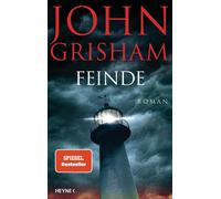 Feinde: Roman