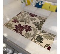 FEIPUHOME Art Area Rug 90x150cm Botanical Nature Theme Rugs Acanthus Leaves Indoor/Outdoor Carpet for Farmhouse Living Dining Room Washable Non-slip Doormat