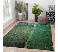 FEIPUHOME Art Rug 160x200cm Natural Landscapes Rugs Park at Kammer Famous Painting Print Washable Carpet for Living Room Bedroom Low Pile Non-slip Foldable