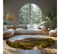 FEIPUHOME Art Rug 200x200cm Natural Aesthetics Non Slip Round Rugs the Heart of the Andes Famous Painting Print Carpet Washable Non-slip Soft for Living Room Entryway