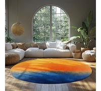 FEIPUHOME Art Rug 80x80cm Scandinavian Modern Round Rugs Blue and Yellow Abstract Aesthetic Decorative Carpet for Living Room Bedroom Apartment Low Pile Non-slip