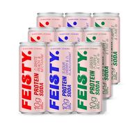 Feisty Drinks Protein Soda - Mixed Flavour Pack | 9x330ml | 10g Plant-Based Protein, Essential Amino Acids, No Artificial Ingredients, No Added Sugar, Dairy-Free, Low-Calorie