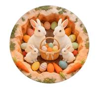 Feizikaw Easter Hallway Runner Rug Easter Bunny Carpet Soft Area Rug For Living Room Bedroom Modern Abstract Floor Mat (B, 80CM)