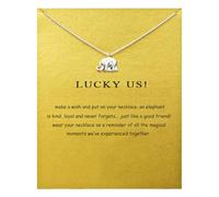 Feizikaw Necklace for Women Elegant Simplicity: Silver Elephant Pendant Necklace Dainty Chain For Women Lightweight Locket (Silver, One Size)