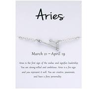 Feizikaw Silver Bracelet For Women Women 925 Silver Zodiac 12 Constellation Link Bracelet With A Blessing Card (SL1, One Size)