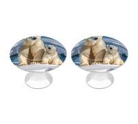 FekiLoot 2 Polar Bears Cabinet Knobs for Kitchen Ornament, Round Zinc Decorative Drawer Pulls for Cabinets Trendy, Dresser Drawers Pulls Bathroom Dresser Knob with Screw
