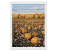 FekiLoot 5D Diamond Painting Kits for Adults Beginners - Autumn Pumpkin Field DIY Diamond Art Kit Gem Painting Round Full Drill Diamond Dots Gem Art Crafts for Home Wall Decor Gifts 12"x16"