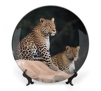 FekiLoot African Leopard on RockDecorative Ceramic Plate Dinner Plate for Salad Dessert Round Display Plate Decorative Porcelain Dish Wall Ornament Microwave Oven Dishwasher Safe Gift 8inch