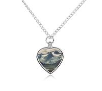 FekiLoot Alaska Mountains Custom Ashes Necklace Personalized Pet Urn Hair Cremation Souvenir Necklace Memorial Keepsake Holder Pendant Heart Jewelry for Ashes Gift for Dog Loss