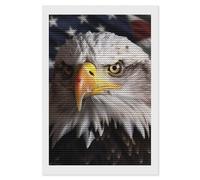 FekiLoot America Flag Diamond Painting Kits for Beginners DIY Diamond Dots Art Kit Full Drill Round 5d Diamonds Pictures Gem Art Kits Rhinestone Painting Home Wall Decor8 x12