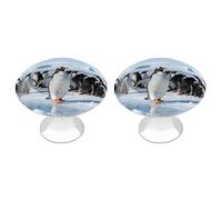 FekiLoot Antarctic Penguin Group Cabinet Knobs Kitchen Cabinet Handles Round Closet Handles Stainless Steel Drawer Pulls for Closet Dresser Wardrobe Cupboard Furniture 2 Pack