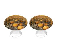 FekiLoot Autumn Pumpkin Field Cabinet Knobs Kitchen Cabinet Handles Round Closet Handles Stainless Steel Drawer Pulls for Closet Dresser Wardrobe Cupboard Furniture 2 Pack
