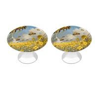 FekiLoot Bee Rapeseed Field Cabinet Knobs Kitchen Cabinet Handles Round Closet Handles Stainless Steel Drawer Pulls for Closet Dresser Wardrobe Cupboard Furniture 2 Pack