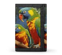 FekiLoot Bird Parrot Painting Wallet Compact Blocking Trifold Wallets with Zipper Minimalist Purse Wallet Credit Card Holder
