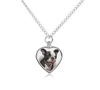 FekiLoot Boston Terrier Urn Necklaces for Ashes Personalized Human Pet Cremation Jewelry Keepsake Locket Heart Pendant with Filling Kit Memorial Gift for Dog Cat Lover Women Men