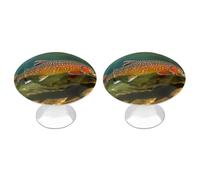 FekiLoot Brook Trout Fly Fishing Cabinet Knobs Kitchen Cabinet Handles Round Closet Handles Stainless Steel Drawer Pulls for Closet Dresser Wardrobe Cupboard Furniture 2 Pack