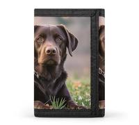 FekiLoot Brown Labrador Retriever Trifold Wallet Slim Credit Card Holder Stylish Trifold Billfold Minimalist Front Pocket Friendly Purses