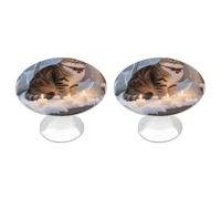 FekiLoot Cat by The Christmas Window Cabinet Knobs Kitchen Cabinet Handles Round Closet Handles Stainless Steel Drawer Pulls for Closet Dresser Wardrobe Cupboard Furniture 2 Pack