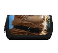 FekiLoot Cat in The Sun Pencil Case Portable Zipper Large Capacity Pencil Bag Handheld Multi Function Portable Pencil Pouch Organizer for Family Office Supplies