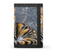 FekiLoot Cat Men's Wallet Extra Capacity Trifold Wallet Thin & Stylish Trifold Card Holder with ID Window