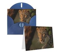 FekiLoot Cheetah Blank Cards With Envelopes 4x6,Diy Greeting Cards Heavyweight Folded Greeting Cards Wedding Birthday Invitations Baby Shower Thank You Cards For All Occasions
