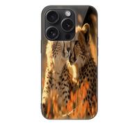 FekiLoot Cheetah Love for iPhone 15 Case Tempered Glass TPU Back Panel Shockproof with Anti-Fingerprint Phone Cover Black