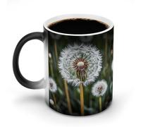 FekiLoot Color Changing Coffee Tea Winter White Dandelion Mug 11 Oz Heat Changing Ceramic Cup Novelty Black Heat Sensitive Mug Funny Morphing Milk Cup Personalized Gift for Men Women