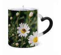 FekiLoot Color Changing Mugs Chamomile Ladybug And Daisy Heat Sensitive Coffee Mug Novelty Ceramic Cup with Handle Magic Cups Temperature Changing Coffee Tumblers for Women Men Funny Gifts 11 Oz