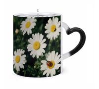 FekiLoot Color Changing Mugs Chamomile Ladybug Daisy Heat Sensitive Coffee Mug Novelty Ceramic Cup with Handle Magic Cups Temperature Changing Coffee Tumblers for Women Men Funny Gifts 11 Oz