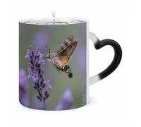 FekiLoot Color Changing Mugs Crab on Coconut Shoes Heat Sensitive Coffee Mug Novelty Ceramic Cup with Handle Magic Cups Temperature Changing Coffee Tumblers for Women Men Funny Gifts 11 Oz