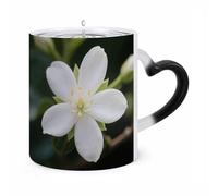 FekiLoot Color Changing Mugs White Jasmine Heat Sensitive Coffee Mug Novelty Ceramic Cup with Handle Magic Cups Temperature Changing Coffee Tumblers for Women Men Funny Gifts 11 Oz