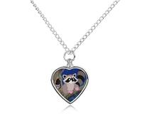 FekiLoot Cotton Raccoon Urn Necklaces for Ashes Personalized Human Pet Cremation Jewelry Keepsake Locket Heart Pendant with Filling Kit Memorial Gift for Dog Cat Lover Women Men