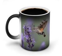 FekiLoot Crab on Coconut Shoes Color Changing Mugs Heat Sensitive Coffee Mug Novelty Ceramic Cup with Handle Magic Cups Temperature Changing Coffee Tumblers for Women Men Funny Gifts 11 Oz