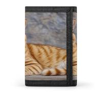FekiLoot Cute Cat Men's Wallet Extra Capacity Trifold Wallet Thin & Stylish Trifold Card Holder with ID Window
