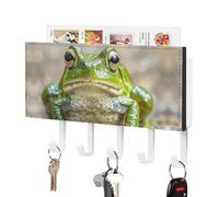 FekiLoot Cute Frog Key Holder for Wall Adhesive Key Hanger with 5 Hooks Wall Mounted PU Leather Key Storage Organizer Towel Hook for Entryway Hallway Living Room Office