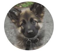 FekiLoot Cute German Shepherd Puppy Seat Cushion Memory Foam Upholstery Chair Cushion with Removable Cover Round Large Pillows Seating Floor Support Pillow for Car Office Kitchen Couch