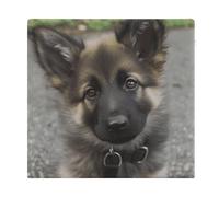 FekiLoot Cute German Shepherd Puppy Seat Cushion Memory Foam Upholstery Chair Cushion with Removable Cover Square Large Pillows Seating Floor Support Pillow for Car Office Kitchen Couch
