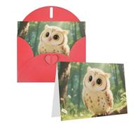 FekiLoot Cute Owl Cub Blank Cards With Envelopes 4x6,Diy Greeting Cards Heavyweight Folded Greeting Cards Wedding Birthday Invitations Baby Shower Thank You Cards For All Occasions