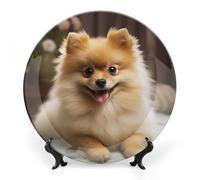 FekiLoot Cute Pomeranian Dog Bone China Decorative Plate for Art Crafts, Chinese Style Decorative Dish with Stand, Hanging Ceramic Plates Ornaments 10inch for Home, Office, Wall Decor