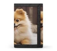FekiLoot Cute Pomeranian Dog Wallet for Men Slim Minimalist Trifold Wallet with ID Window And Credit Card Holder