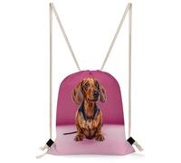 FekiLoot Dachshund Weiner Dog Drawstring Backpack Sports Gym Bag Drawstring Bags Foldable Backpack for Women Men