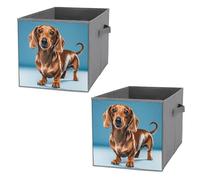 FekiLoot Dachshund Weiner Pet Dog Storage Cubes Organizer for Home, Foldable Storage Bins with Handles, 10.6 Inch Storage Bags 2PCS for Clothes, Large Organizer Bins for Organizing Bed Sheets