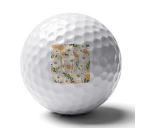 FekiLoot Daisy Flower Pattern Practice Golf Ball for Putting Practice and Training,Golf Ball with Easy Control Soft Feel
