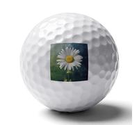 FekiLoot Daisy Flower Practice Golf Ball for Putting Practice and Training,Golf Ball with Easy Control Soft Feel