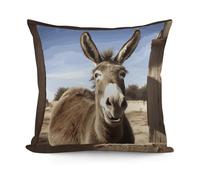 FekiLoot Decorative Throw Pillow Covers Square Funny Donkey Cushion Case Fluffy Plush Accent Pillow Cases for Bed Sofa Living Room Home Decor No Pillow Insert 18" X 18"