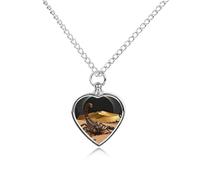 FekiLoot Desert Scorpion Eclipse Urn Necklaces for Ashes Personalized Human Pet Cremation Jewelry Keepsake Locket Heart Pendant with Filling Kit Memorial Gift for Dog Cat Lover Women Men